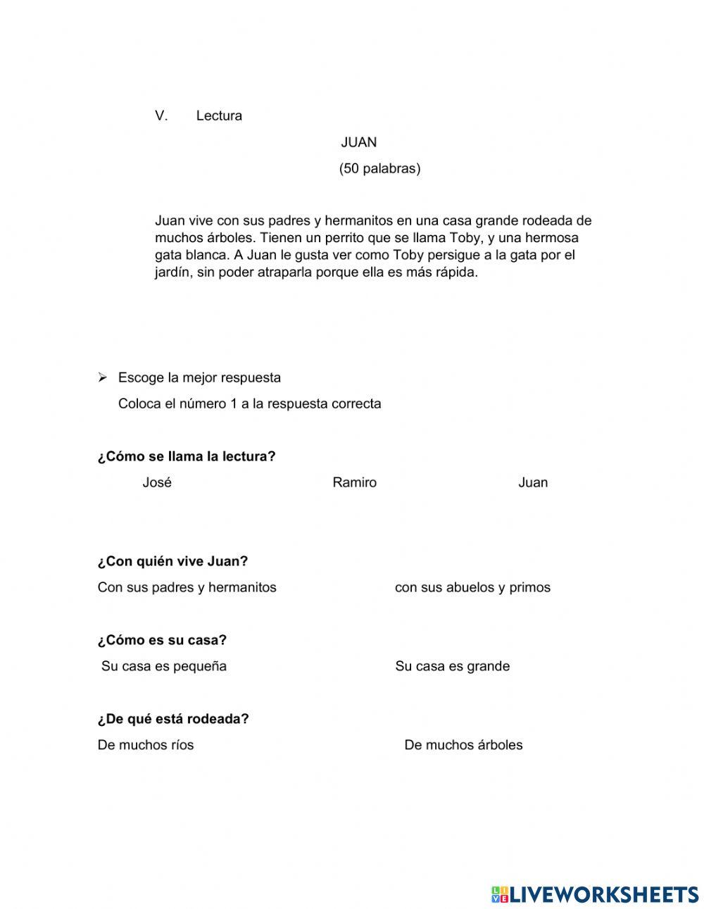 Prueba Inicial de Lectoescritura