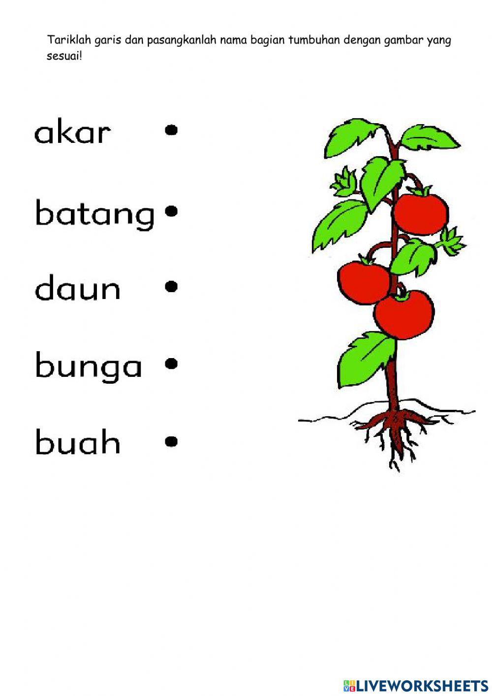 Pts genap ipa (praktik)