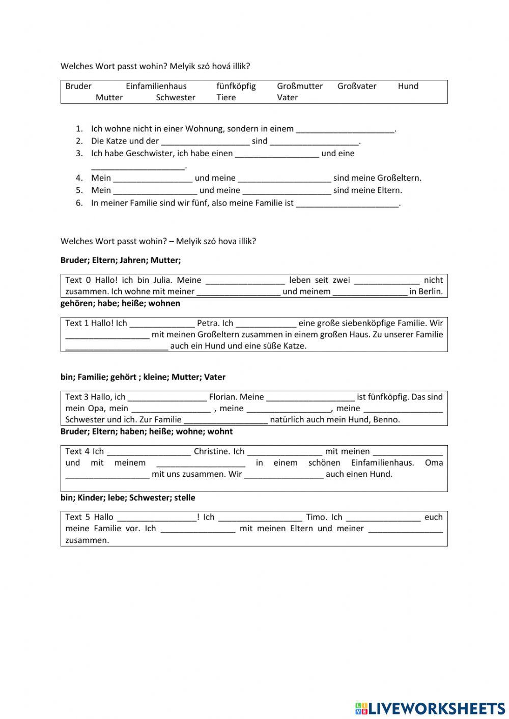 Familie - Lückentexte