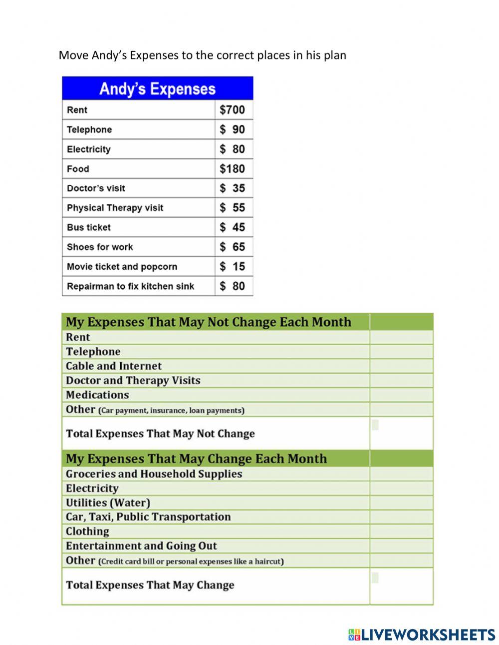 Andy's monthly budget