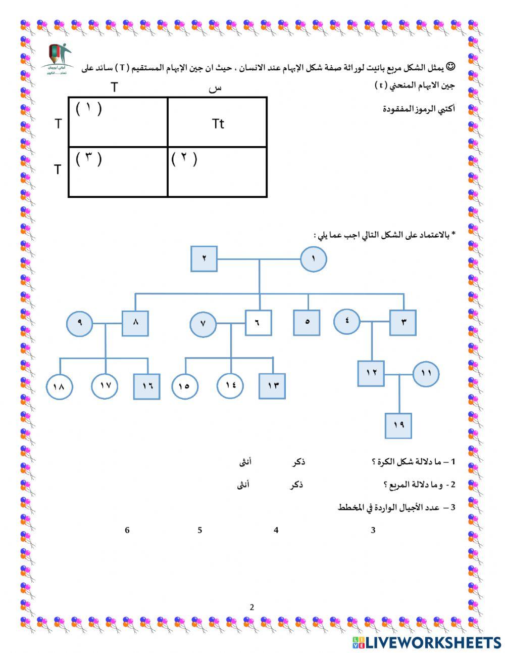 ورقة عمل الوراثة عند الإنسان