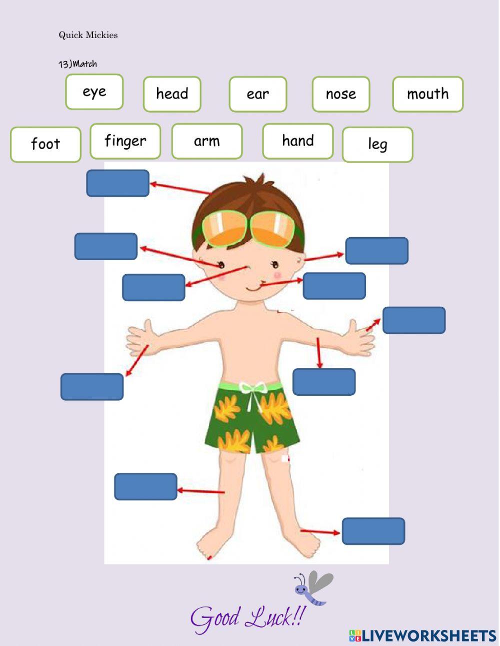 Quick  mickies march test