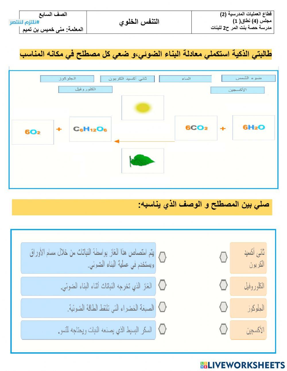 البناء الضوئي