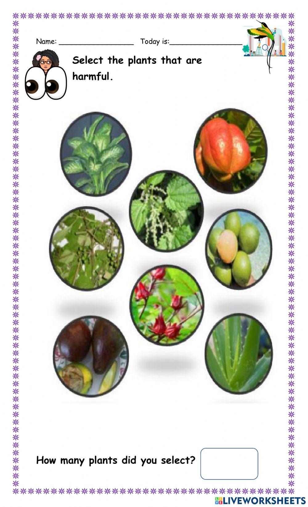 harmful-plants-worksheet-live-worksheets