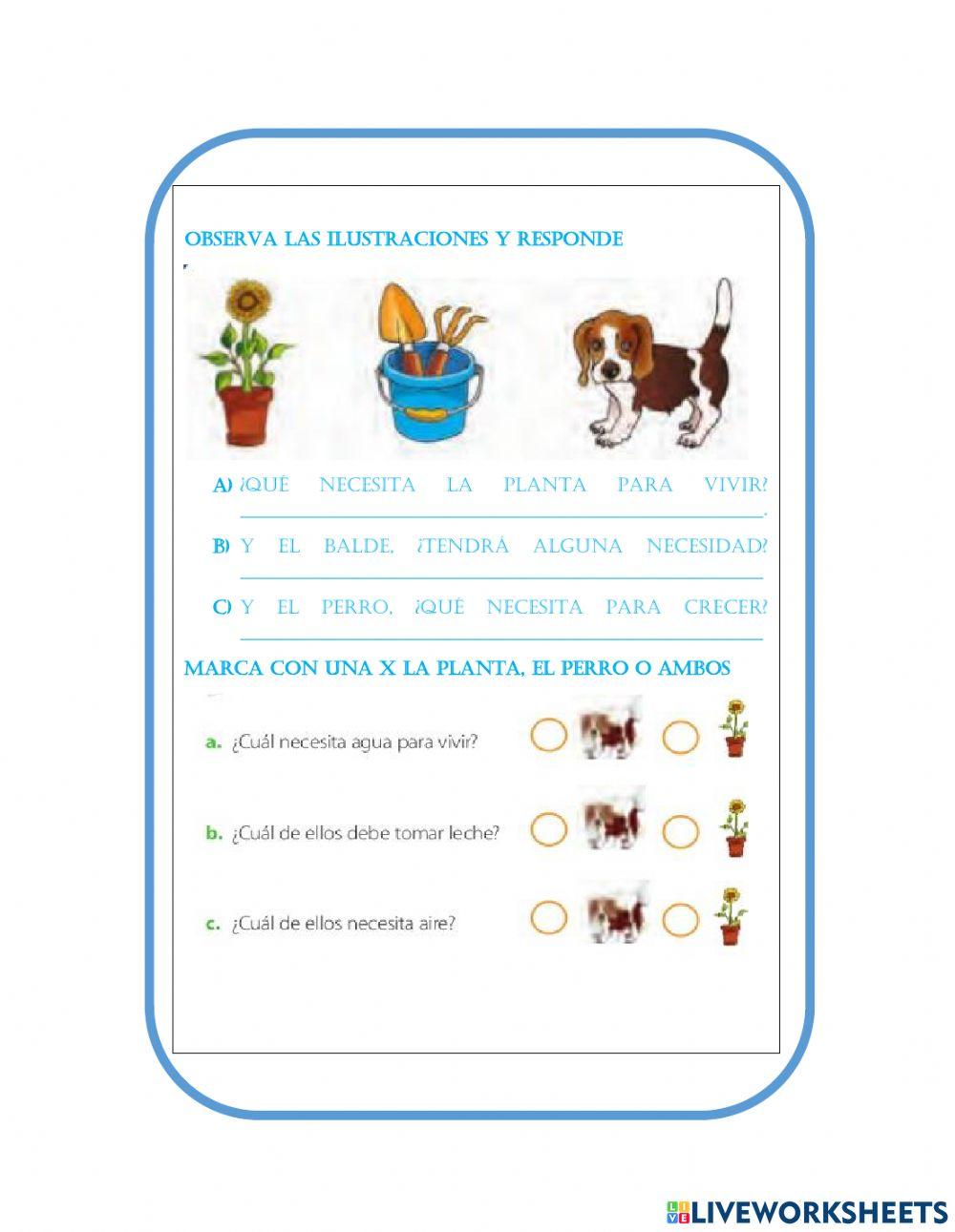 Necesidad de los seres vivos