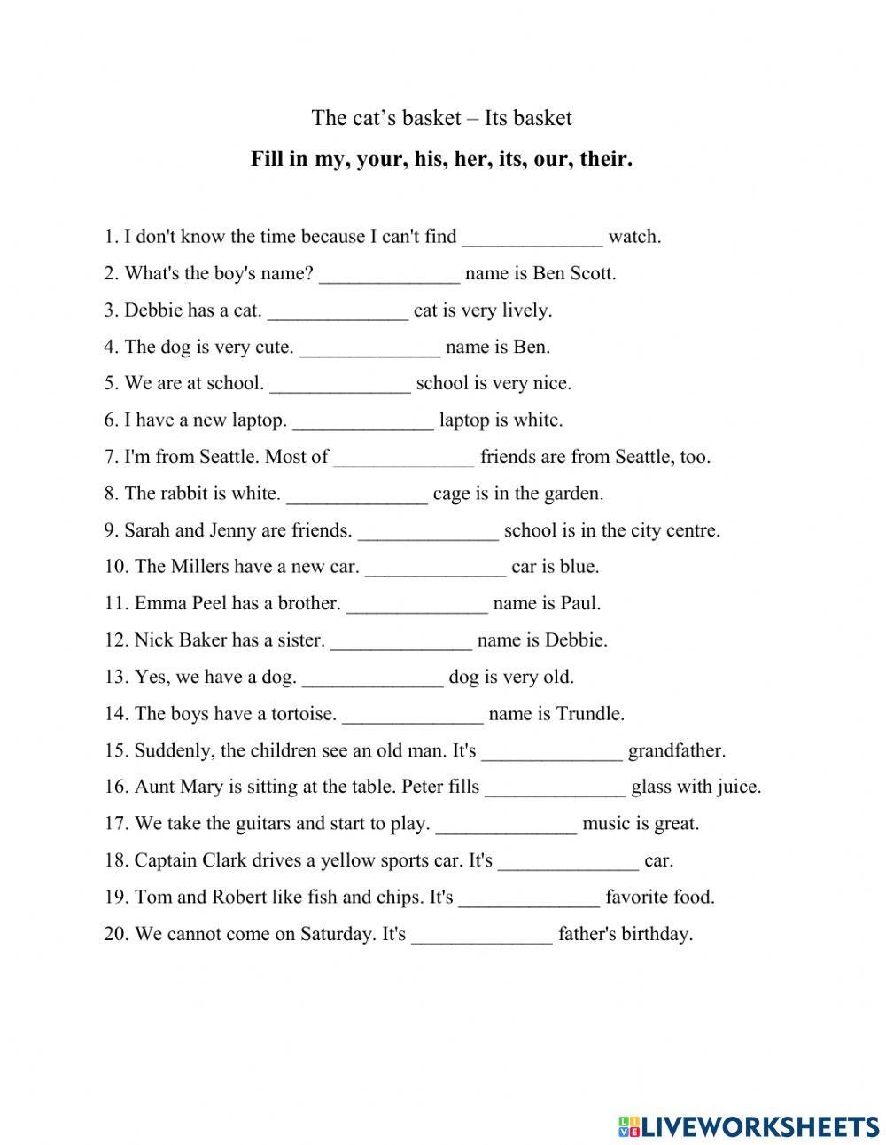 Possessive Adjectives