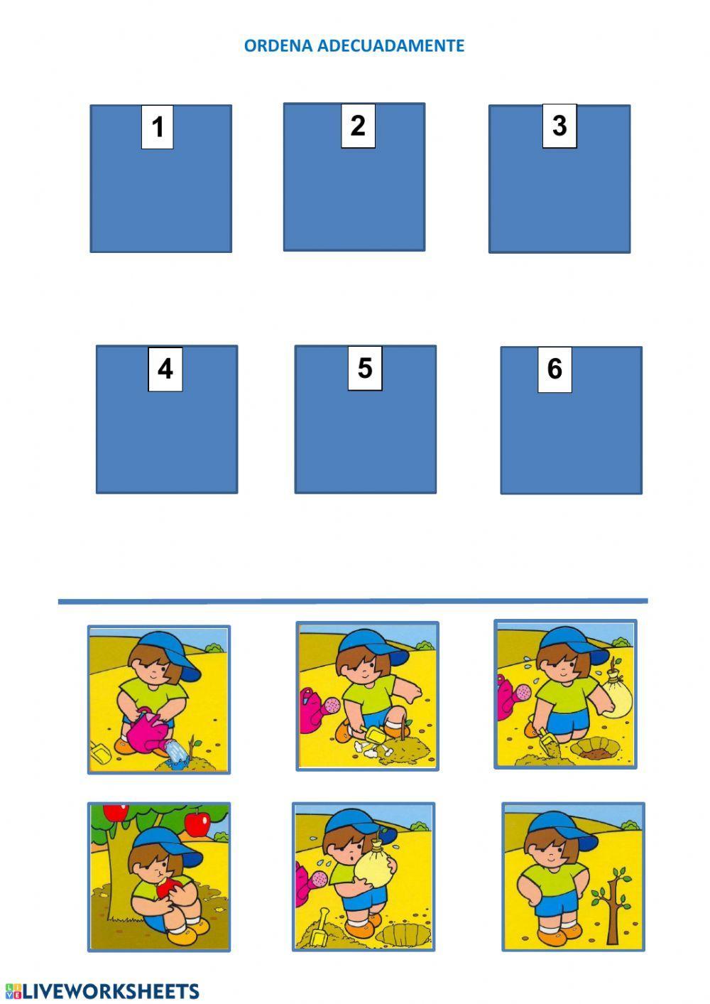 ordena esta secuencia-plantar un arbol