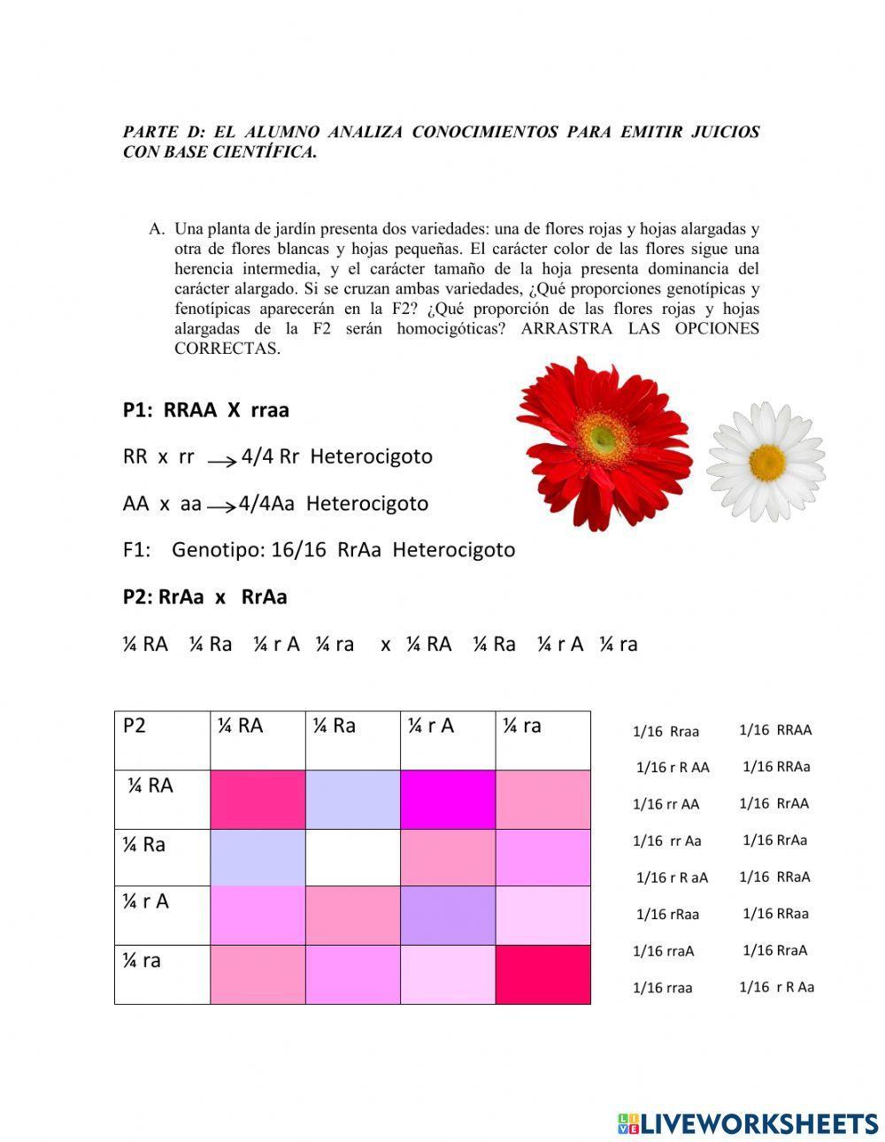 Unidad:5 GENÉTICA.LEYES DE MENDEL 