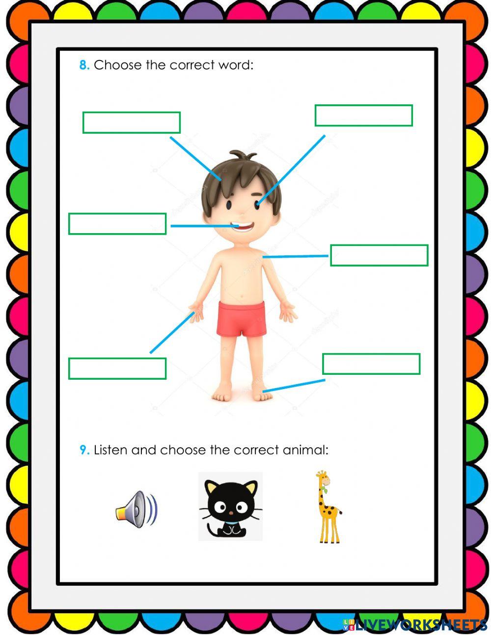 Classification evaluation