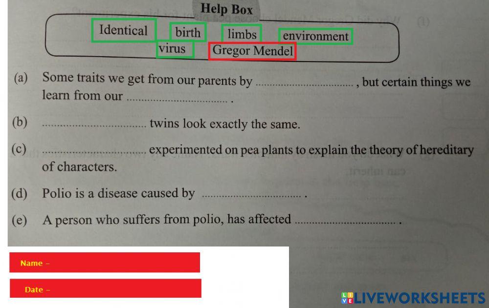 Rls5 worksheet | Live Worksheets