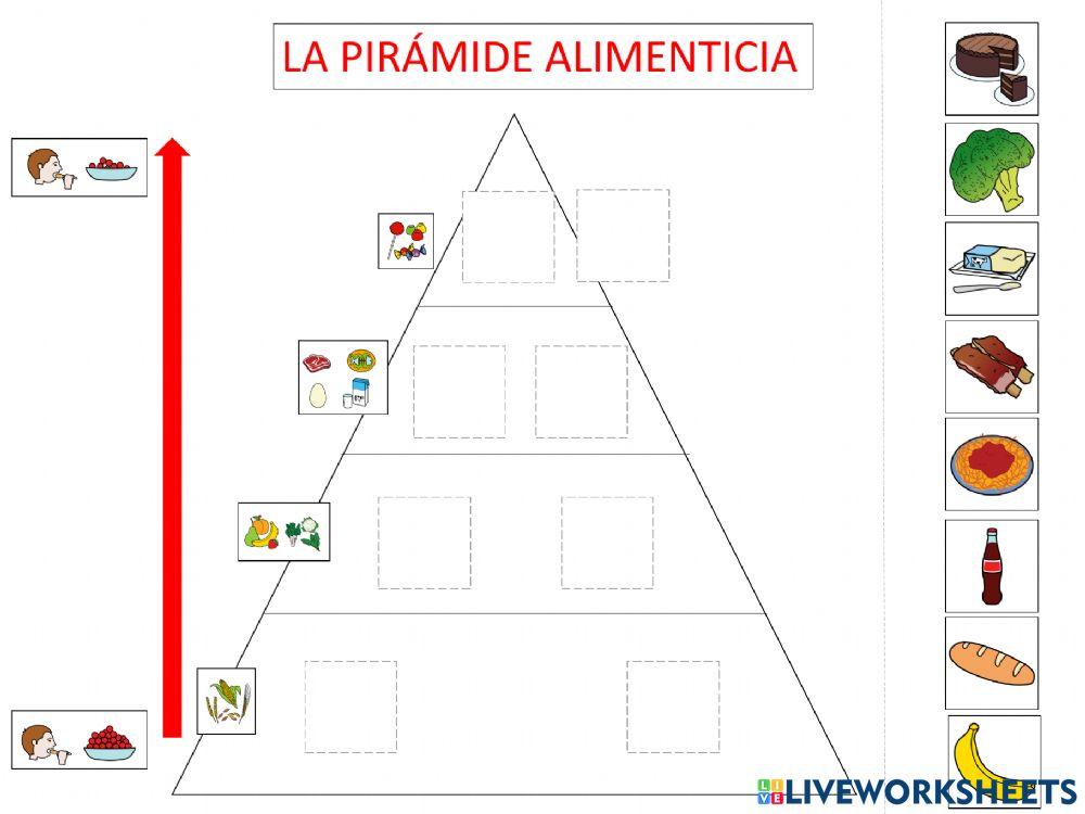 Piramide alimenticia frecuencia