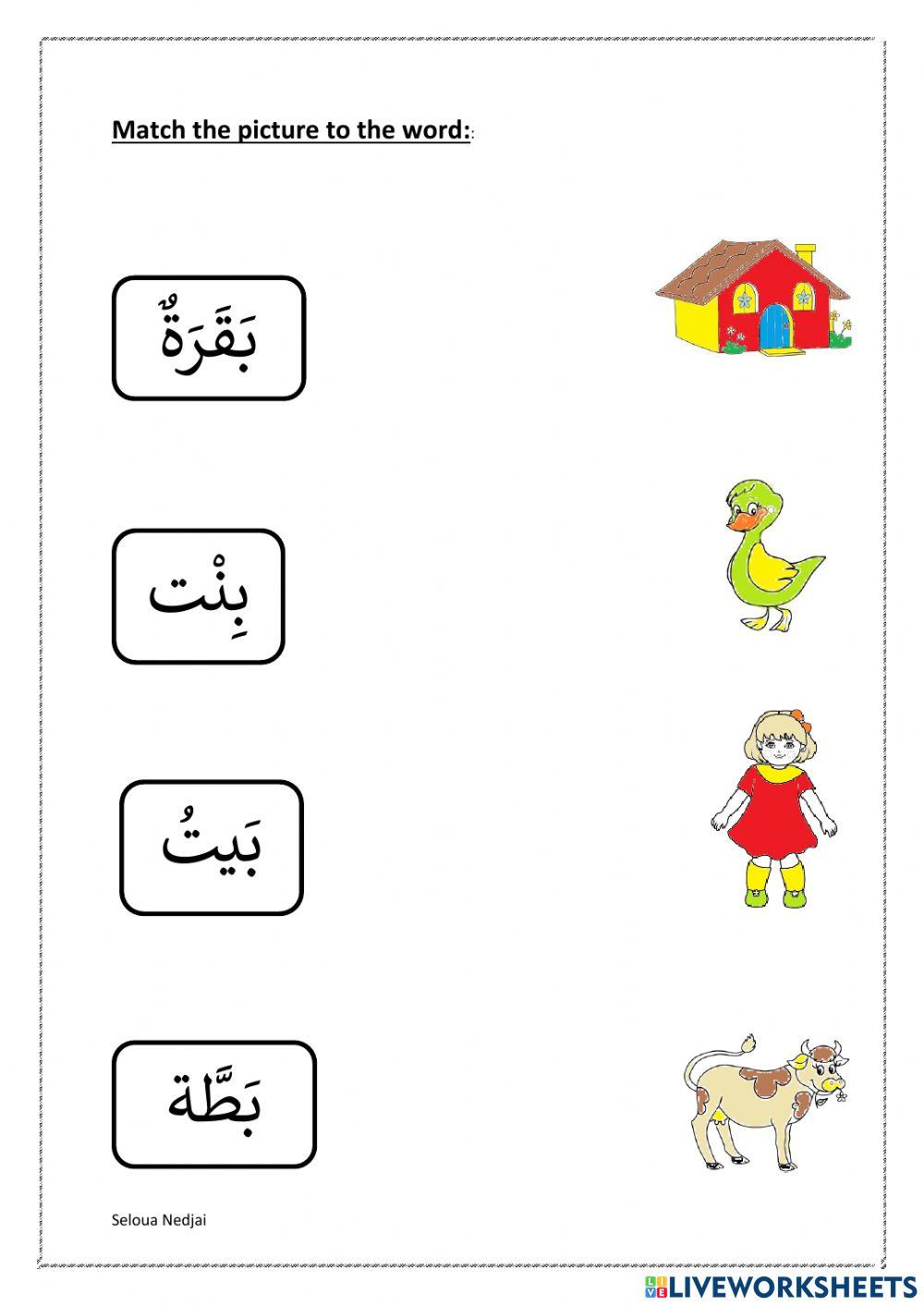 Match the picture to the word ب