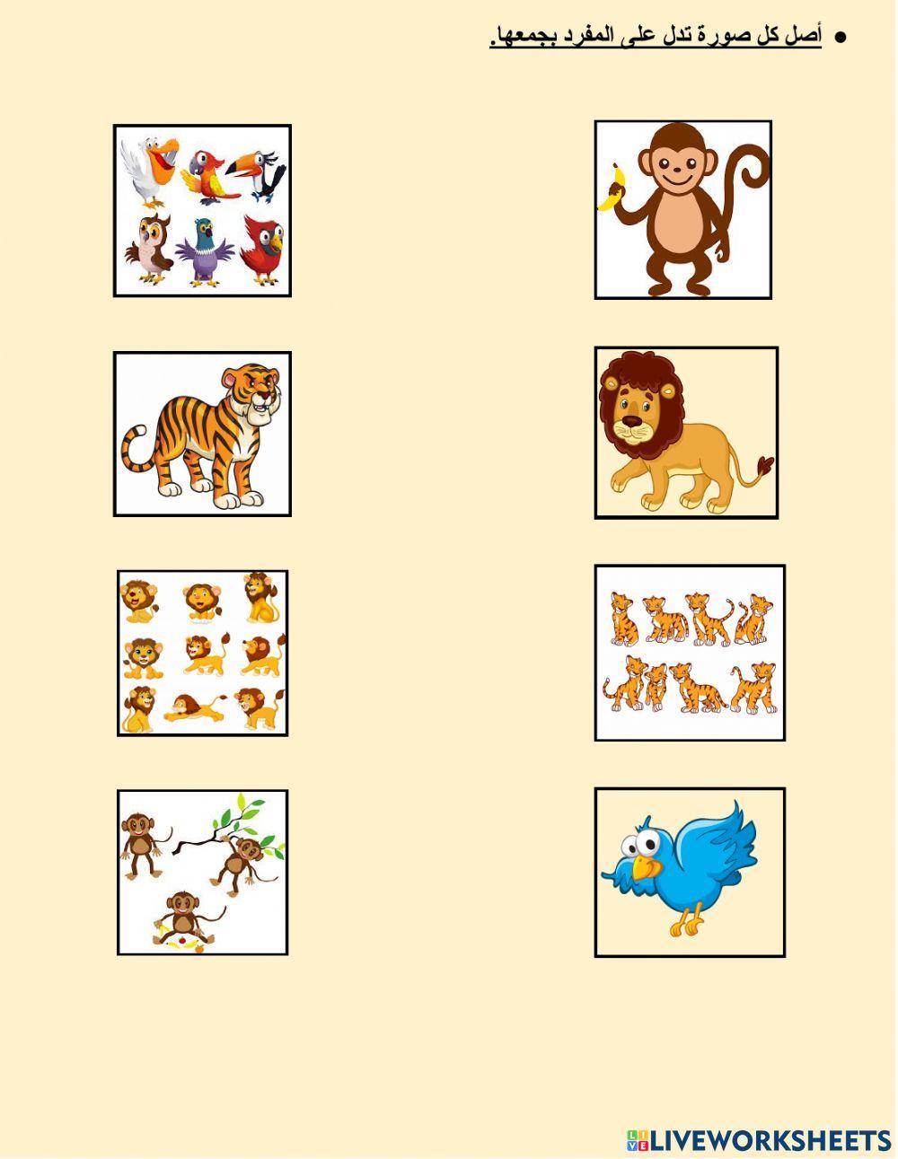 من درس هشام وكمال في حديقة الحيوان - تدريبات