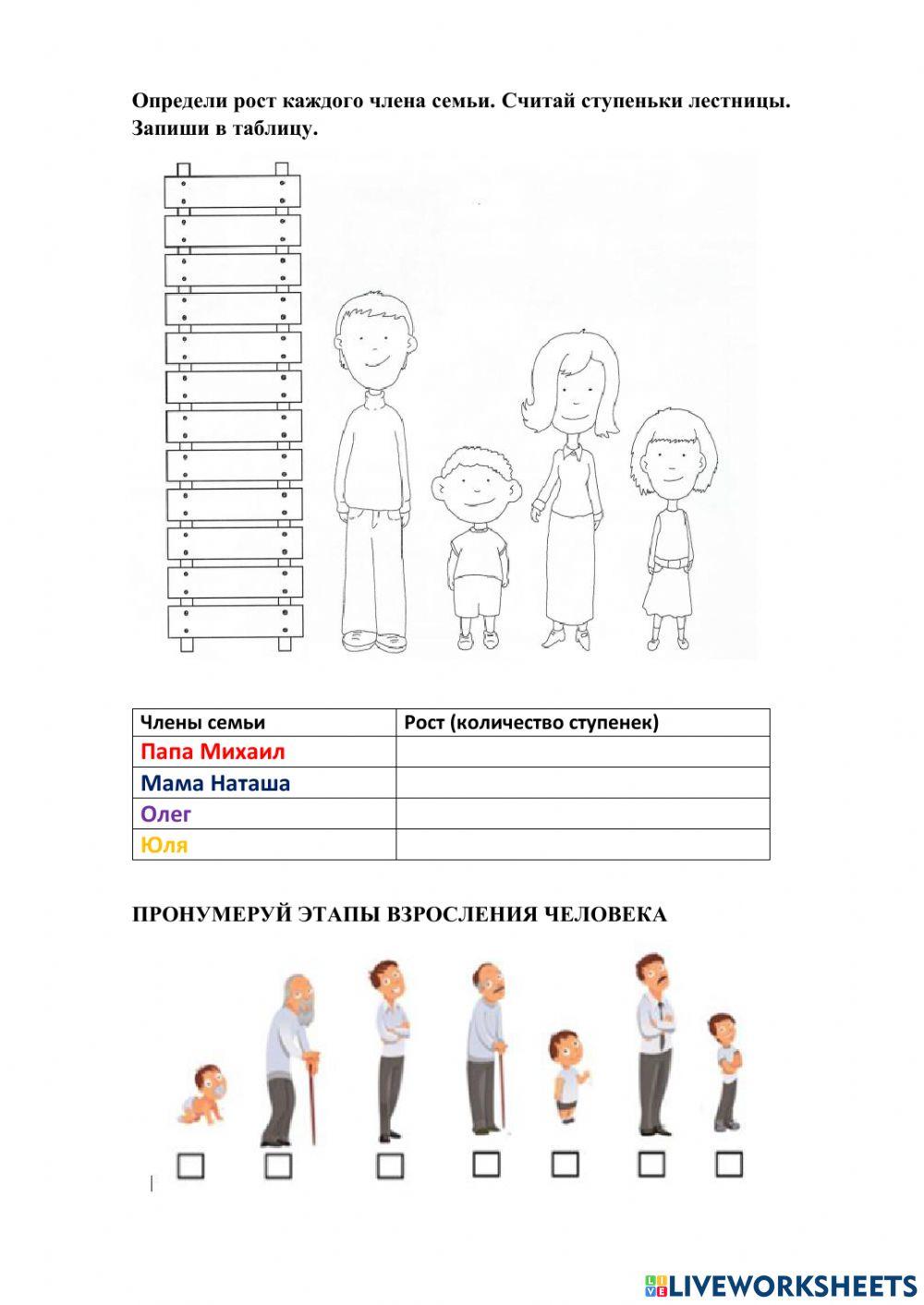 Этапы взросления человека