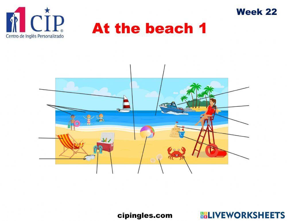 Verbs and At the Beach Week 22