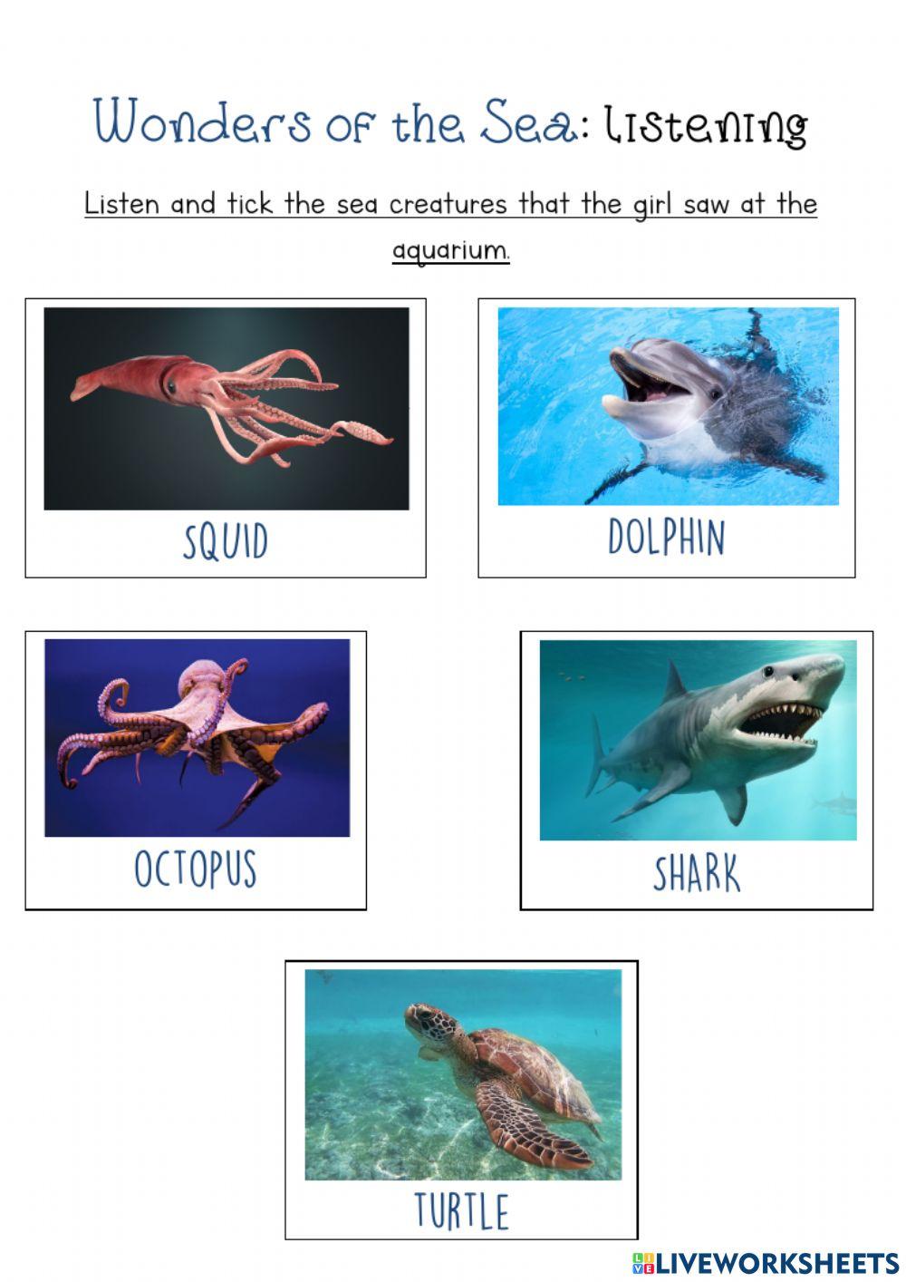 Wonders of the sea: listen and choose Wonders of the sea: listen and choose