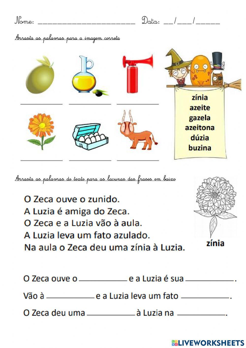 Z - O Zoo do azeite e da azeitona