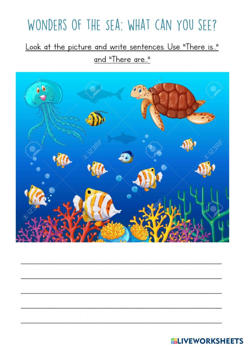 Wonders of the sea: picture description Wonders of the sea: picture description