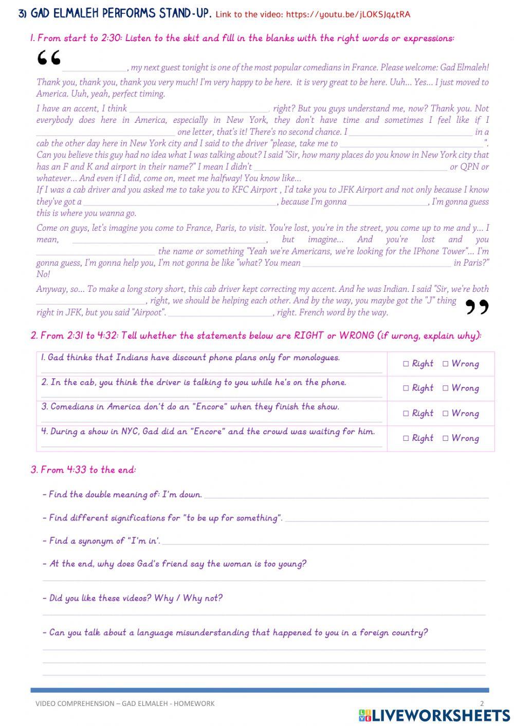 Vocabulary and Video Comprehension - Gad Elmaleh