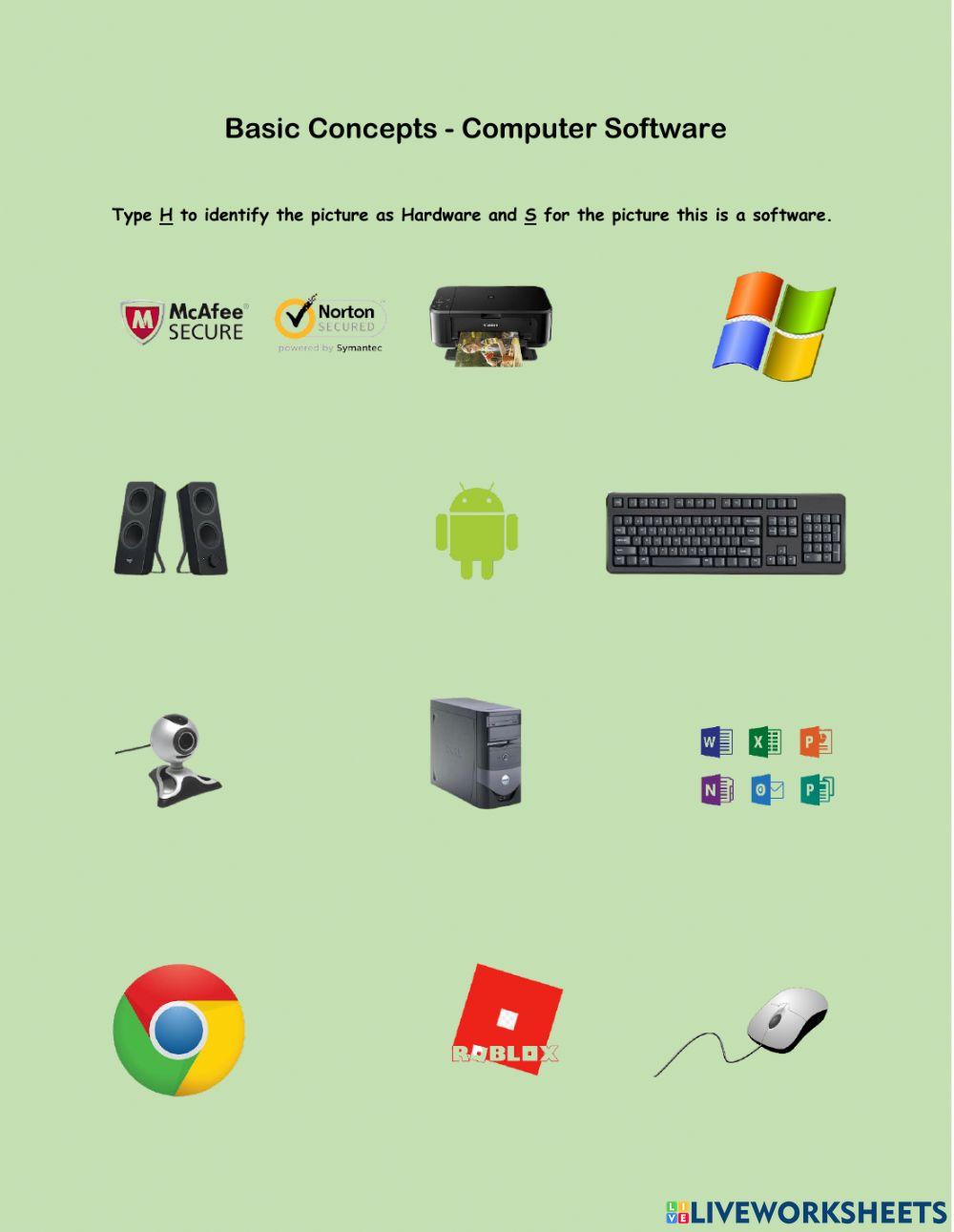 Computer Software and Hardware online exercise for | Live Worksheets