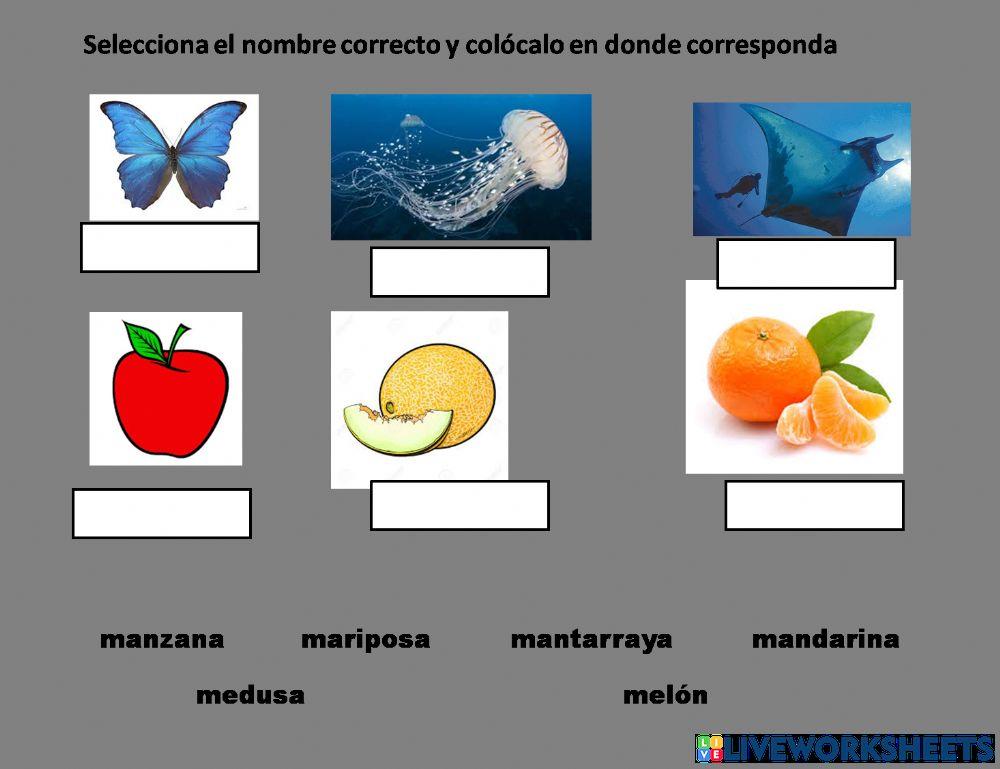 Lectura de palabras que inician con m