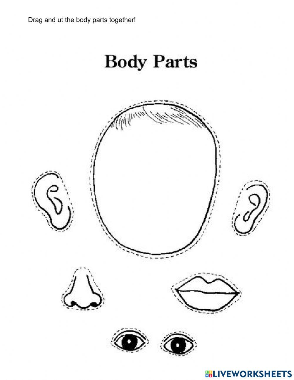 Face parts