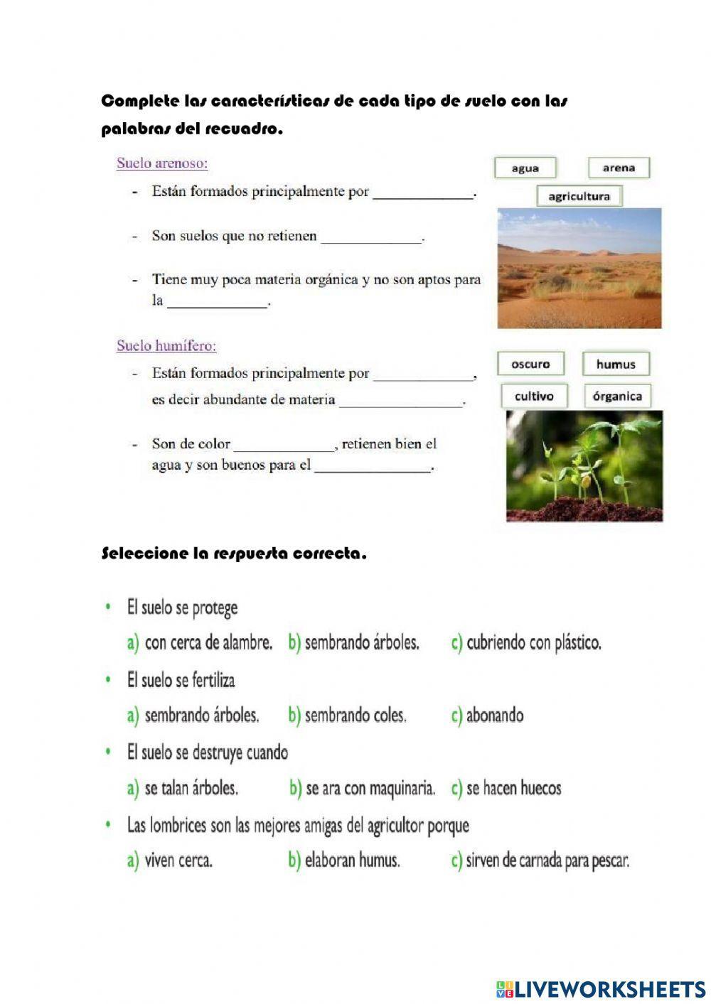 Tipos de suelo
