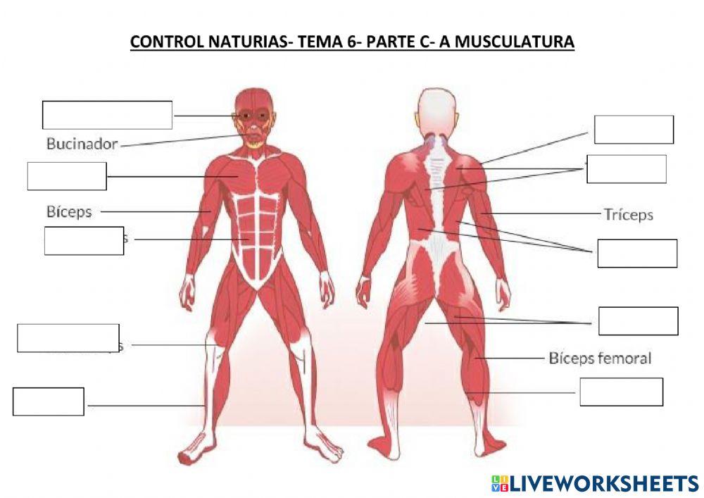 Control naturais tema 6 parte c