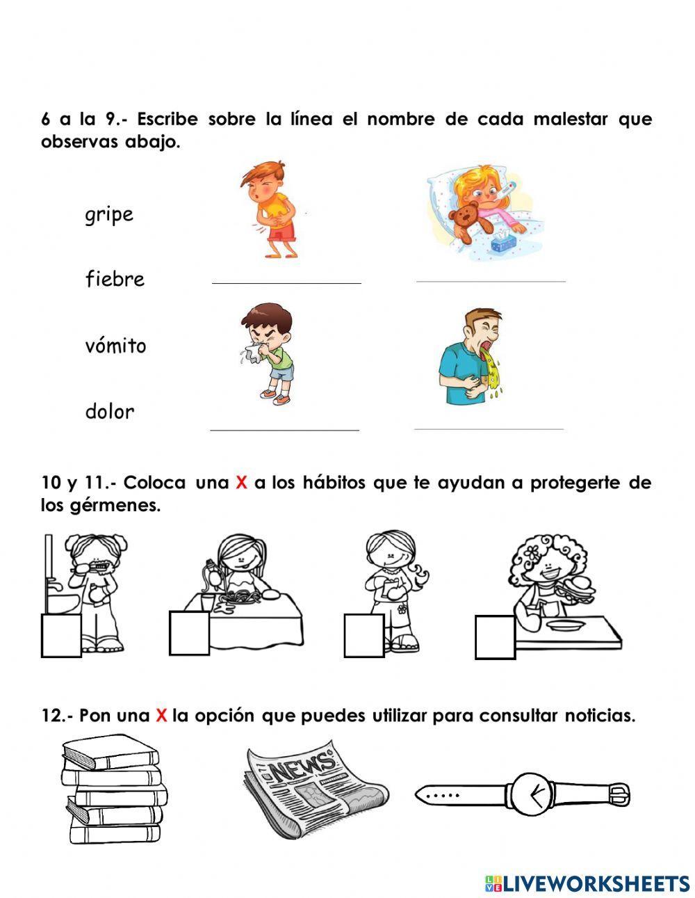 Evaluación español