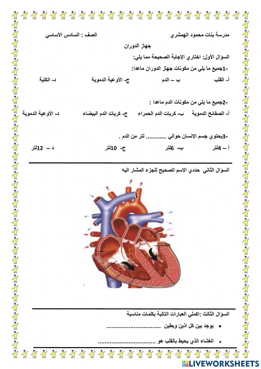 جهاز الدوران
