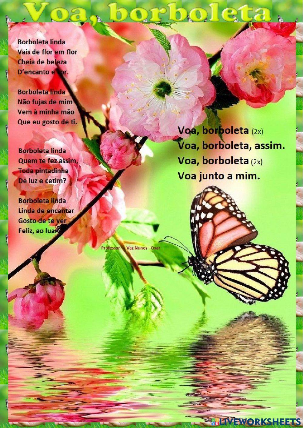 Borboleta linda - canção