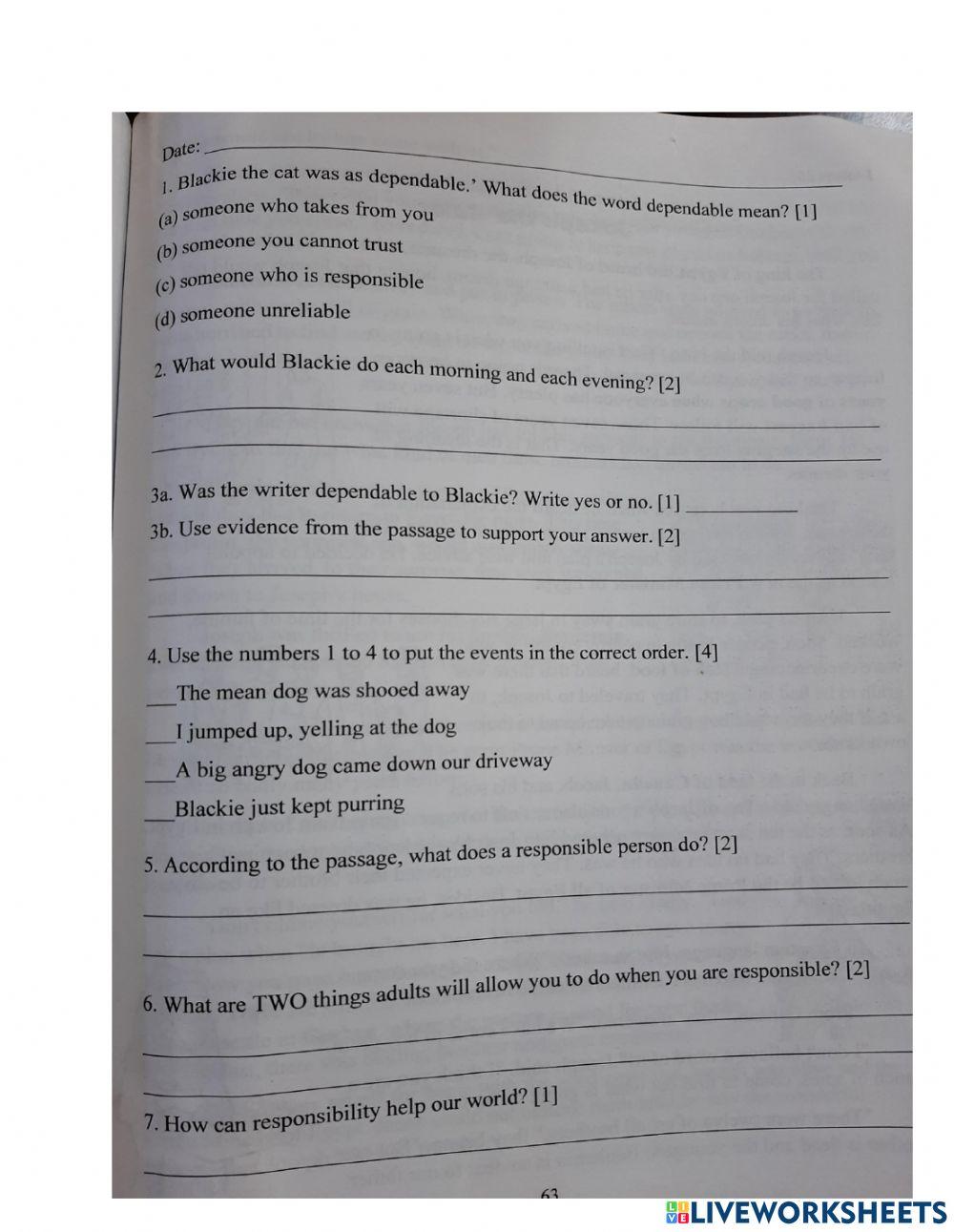 Responsibility-What Does It Mean?