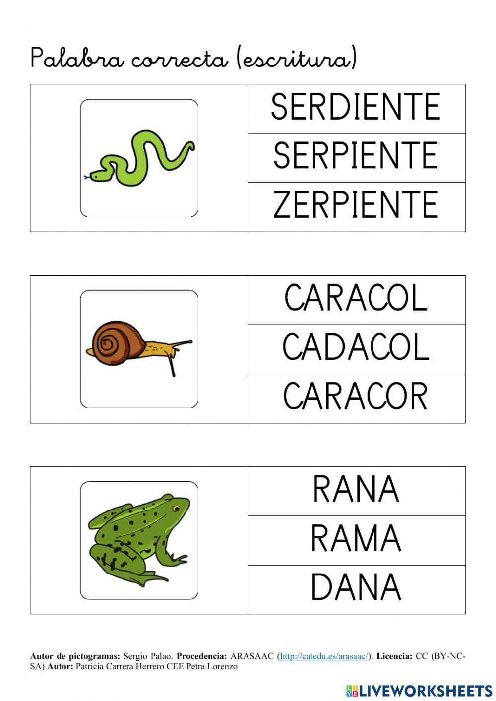 SA Animales. Vocabulario del bosque
