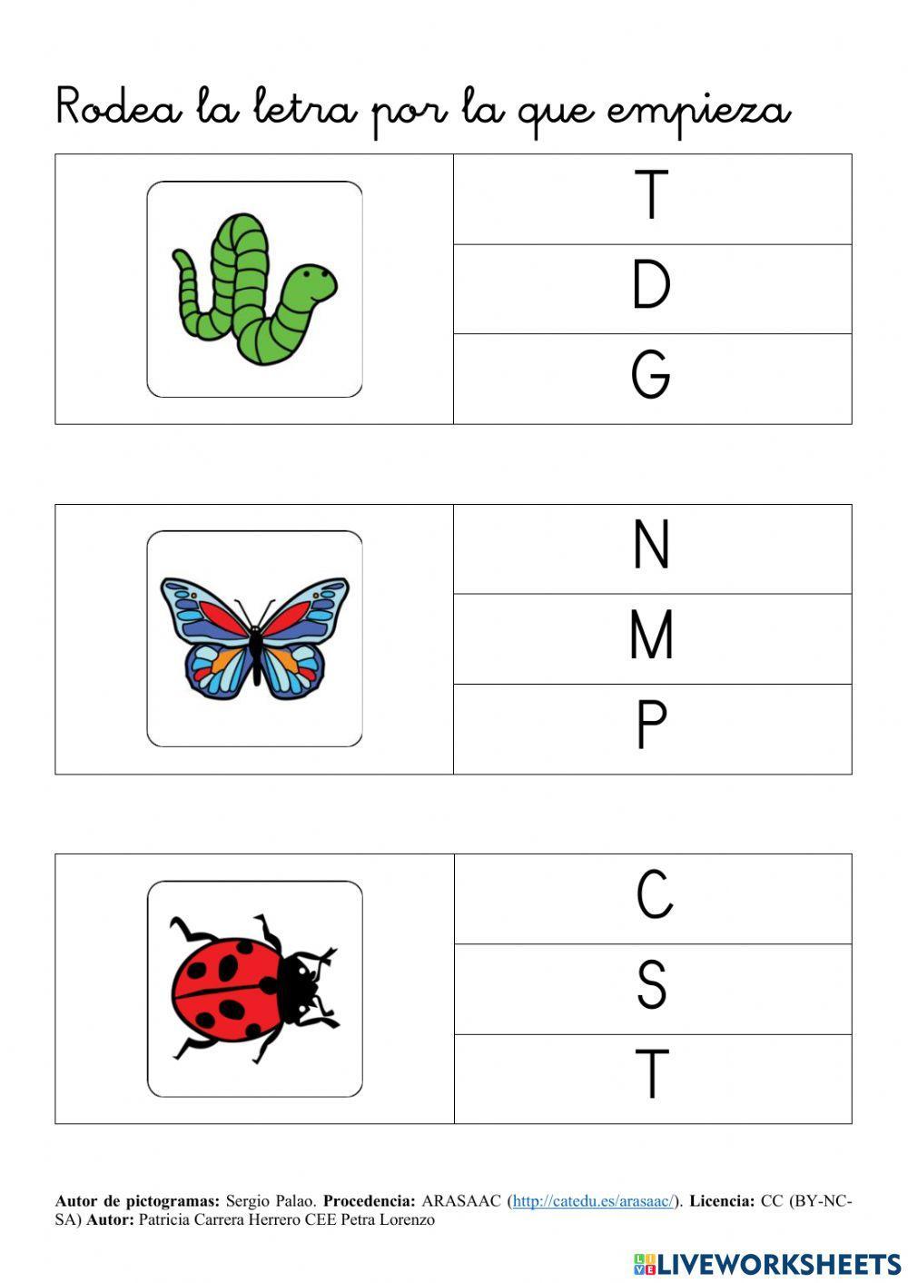 SA Animales. Vocabulario del bosque