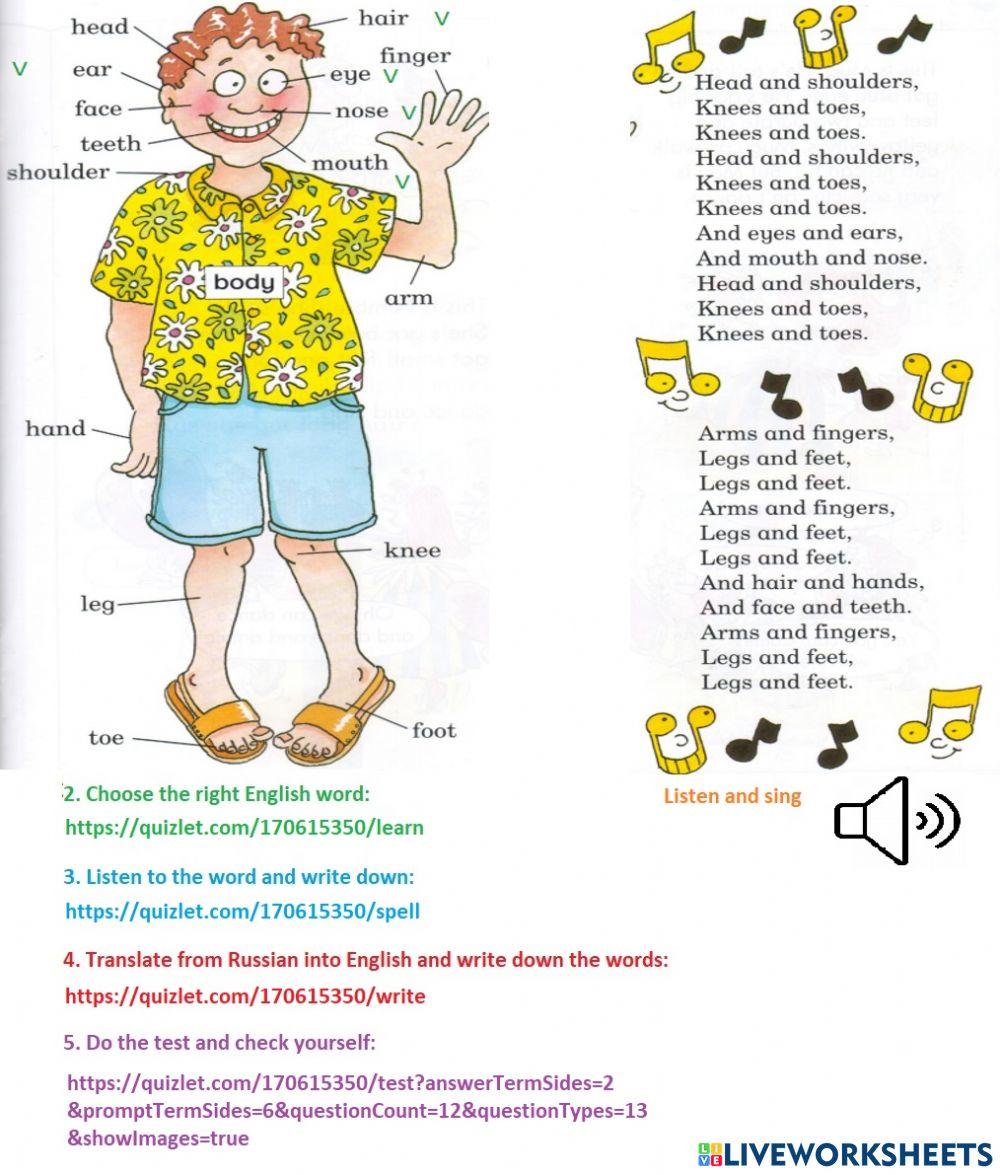 Body online pdf worksheet | Live Worksheets
