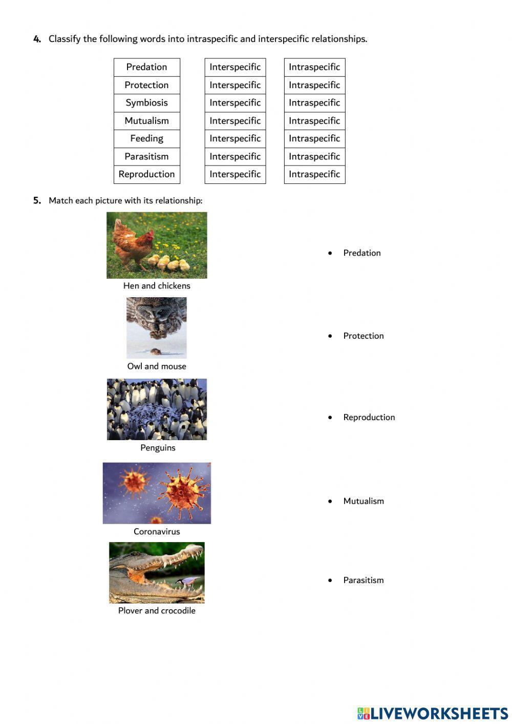 Unit 4. The variety of life
