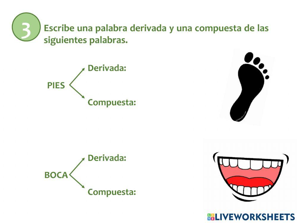 Recuperación lengua Recuperación lengua