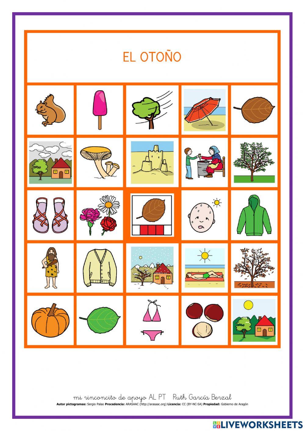 Selecciona los objetos del otoño