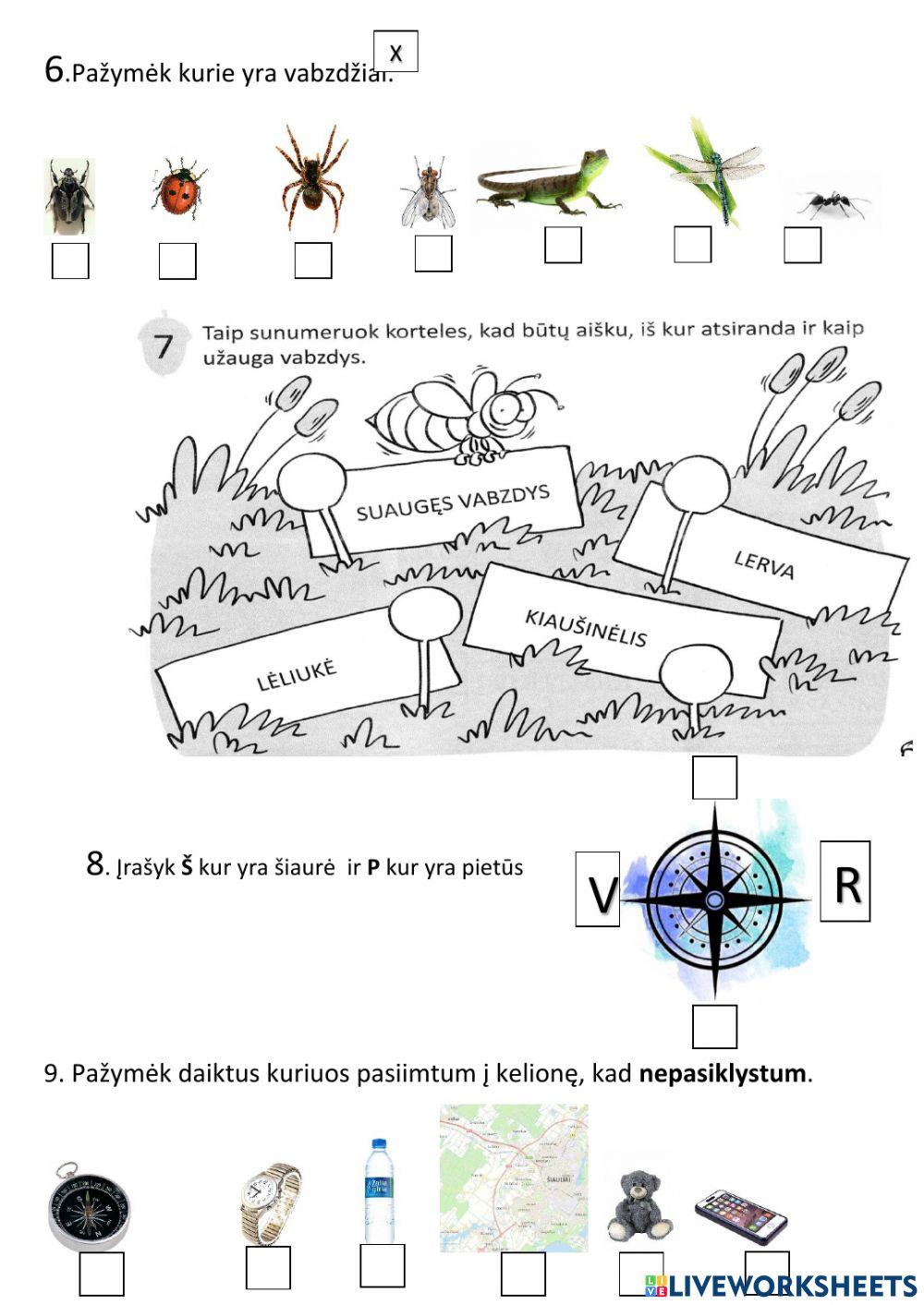 PASAULIO PAŽINIMO TESTAS Nr.6