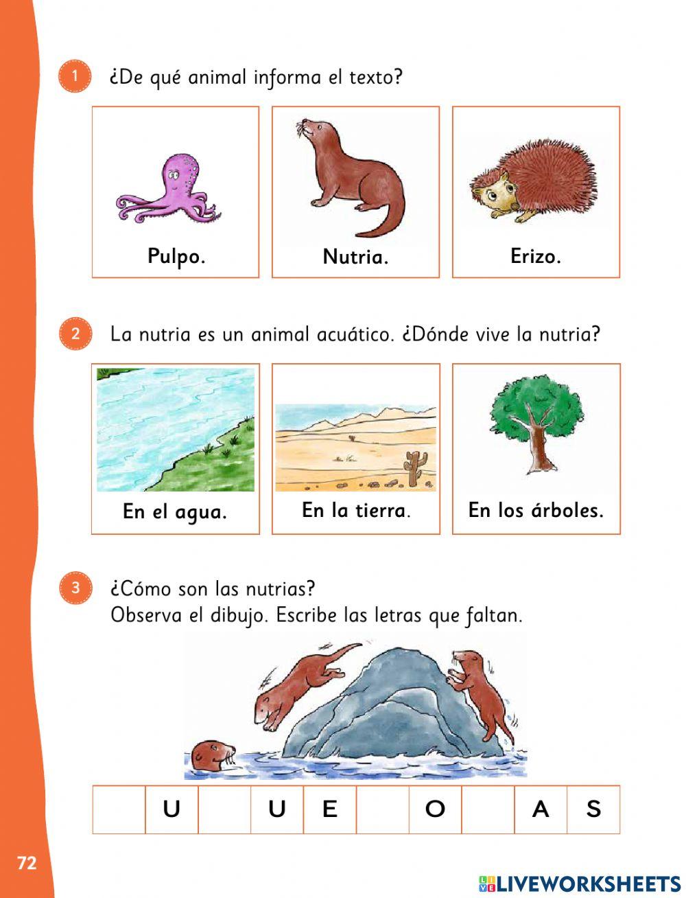 Prueba 2 leo primero