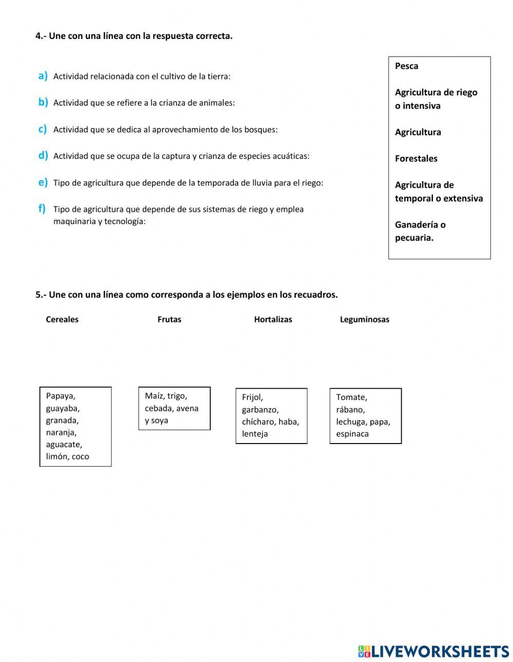 Quiz actividades económicas