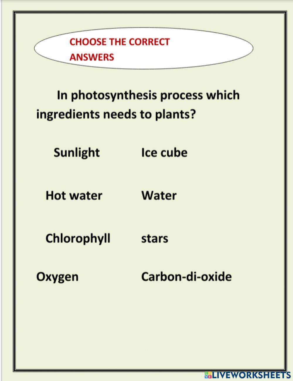 Photosynthesis2