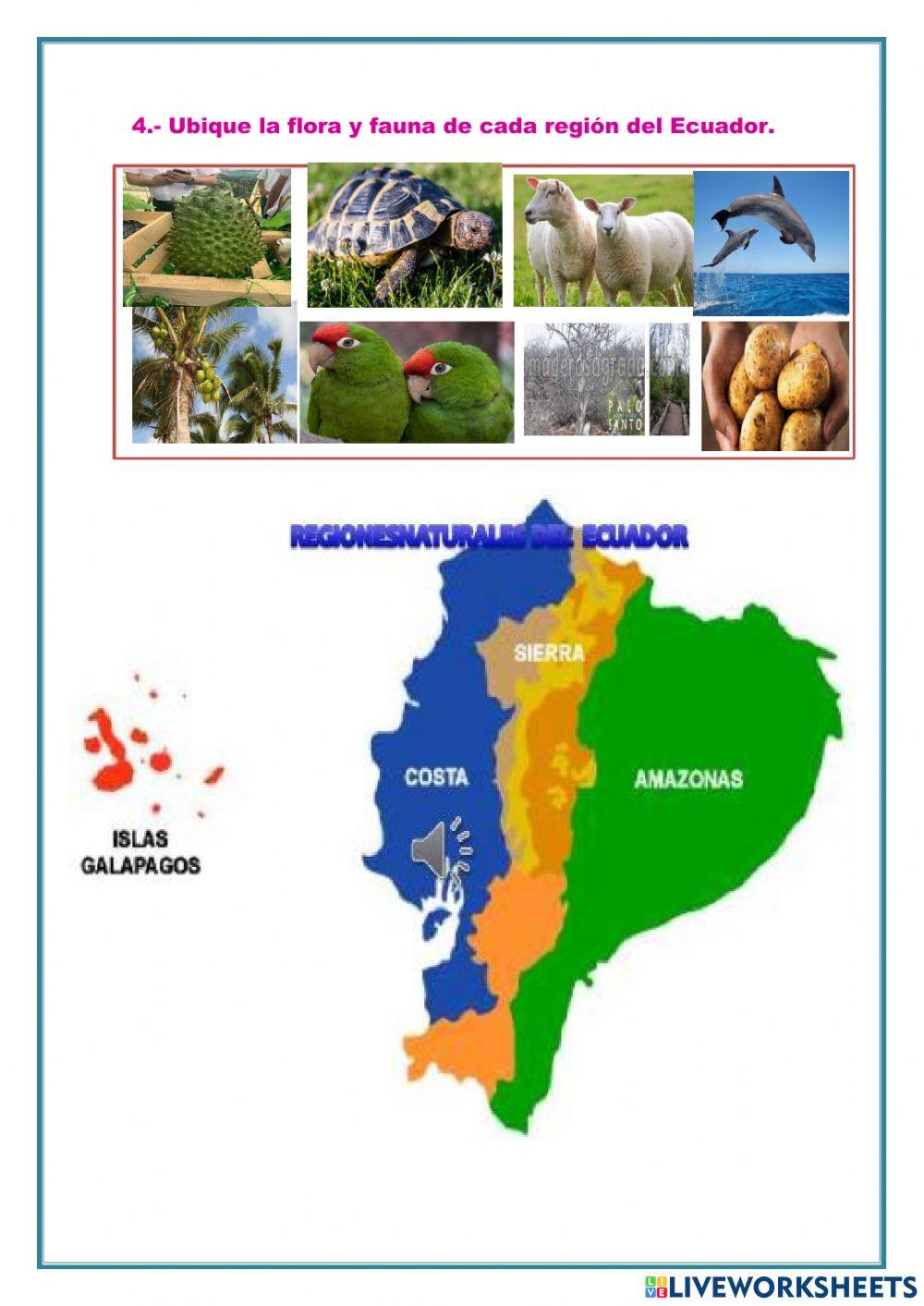 Actividad de recuperación pedagógica