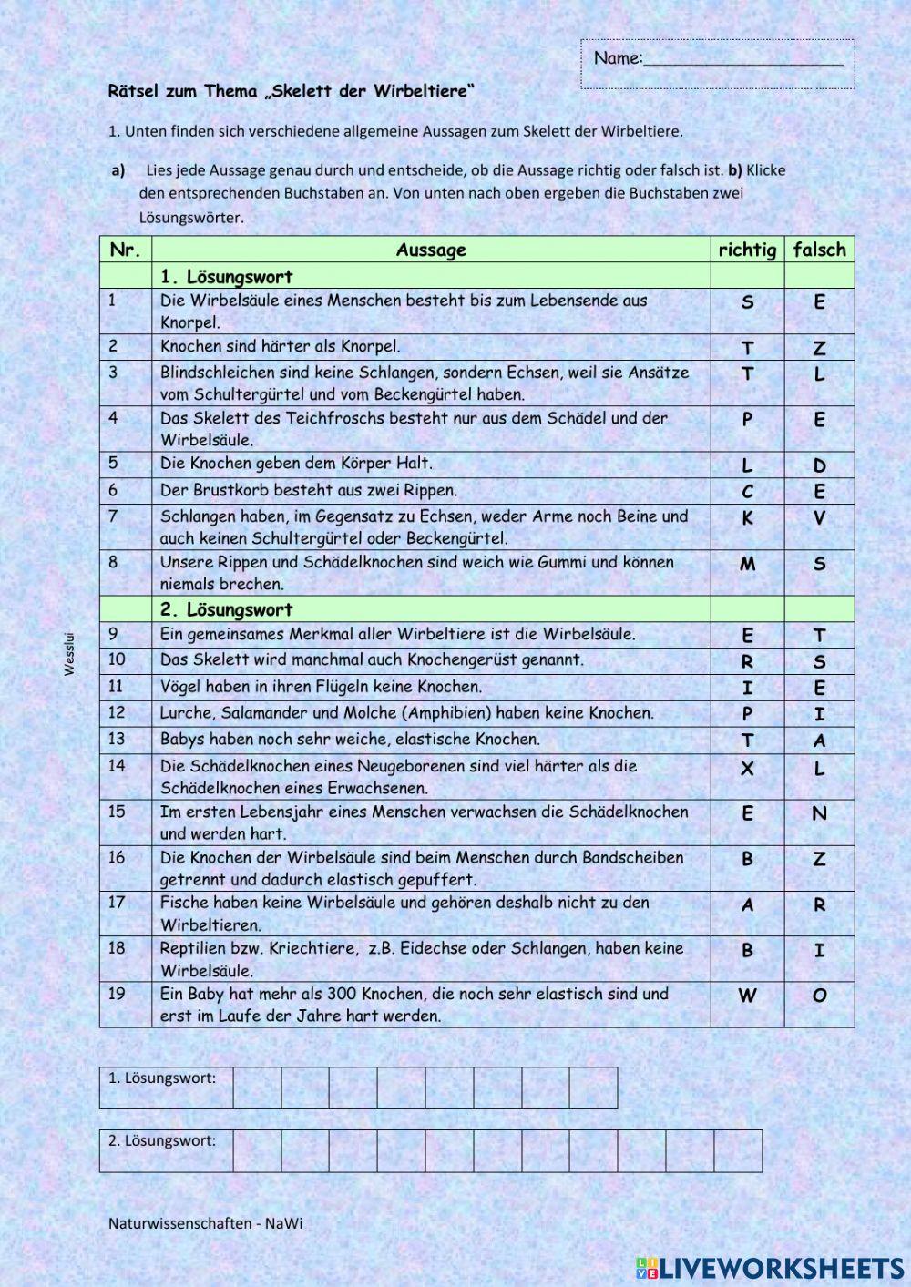Skelett der Wirbeltiere