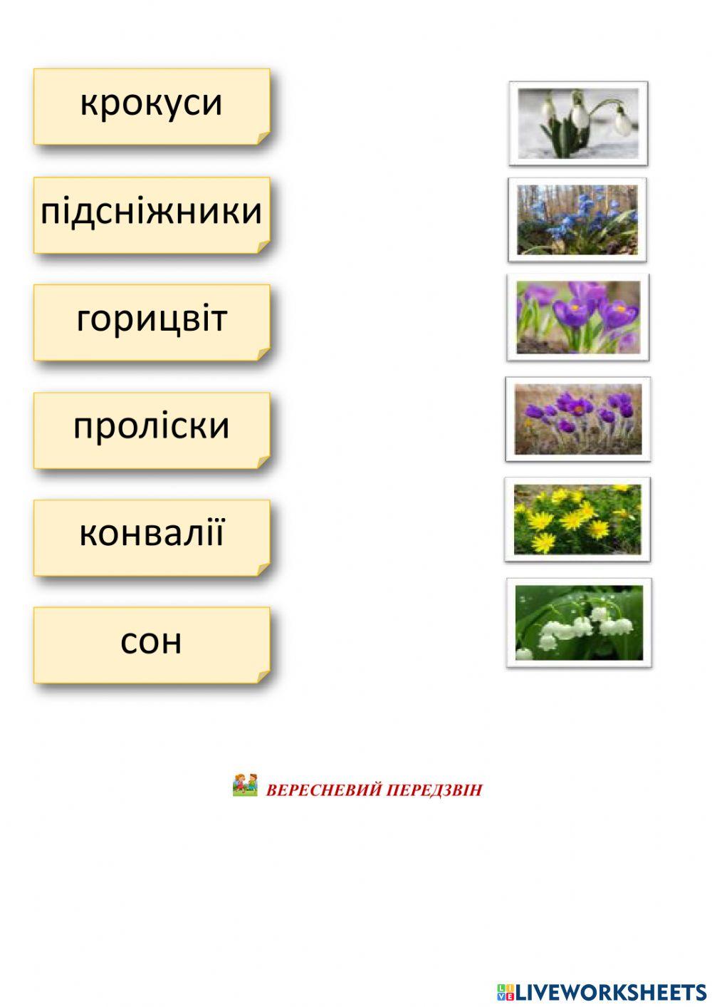 Першоцвіти worksheet | Live Worksheets