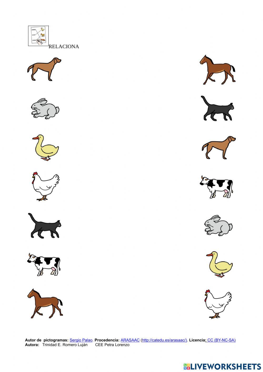 Animales domésticos