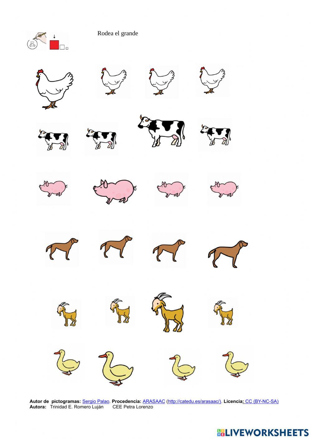 Animales domésticos