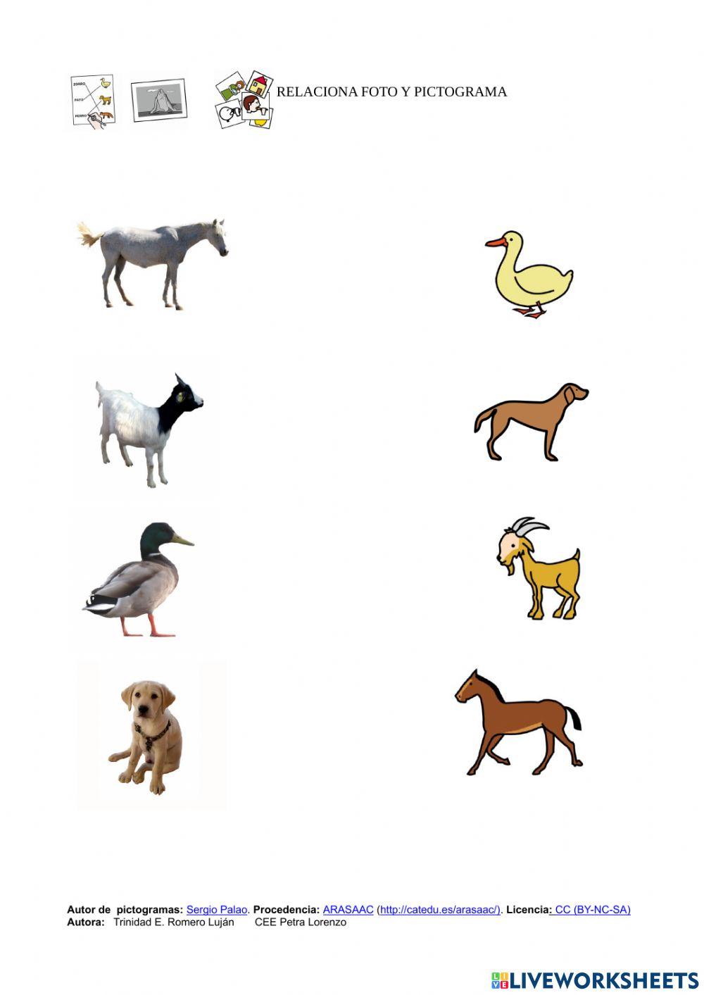 Animales domésticos