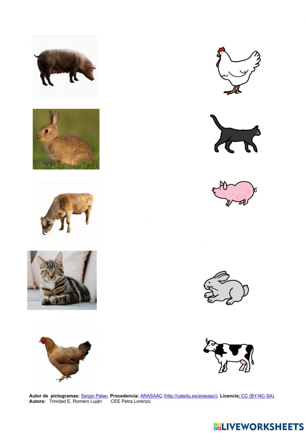 Animales domésticos