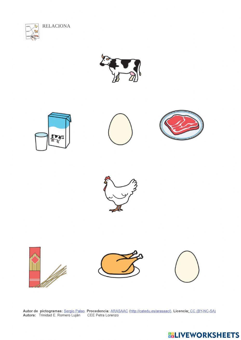 Animales domésticos y salvajes